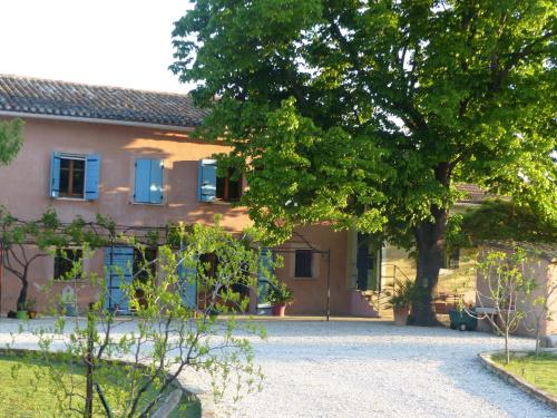 una casa con un árbol delante de ella en Mas d'Auseu en Cavaillon