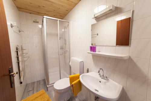 a bathroom with a sink and a shower and a toilet at Haus Bucher in Wagrain