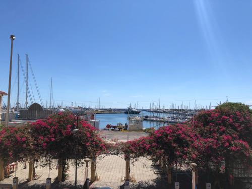 Il Fiore del Porto – Photos 2