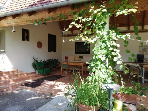 a patio of a house with a table and a tree at Anna's Cosy Apartment in Illmitz