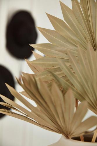 a close up of a plant in a vase at San Luis Creek Lodge in San Luis Obispo