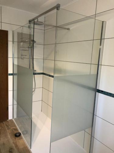 a glass shower door with a glass shelf at Haus Zissi in Burg-Reuland