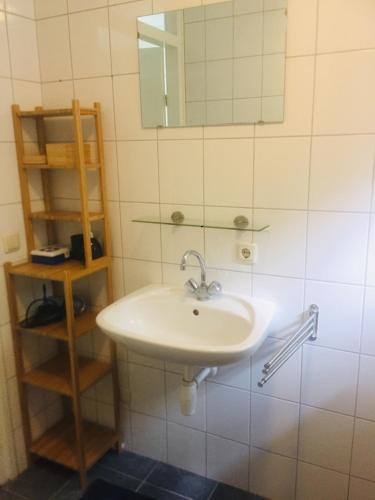 a bathroom with a sink and a mirror at Guesthouse "Cosmea" in Olst
