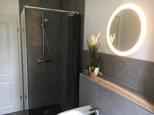 a bathroom with a shower with a mirror and a sink at Krabbenstube in Insel Poel