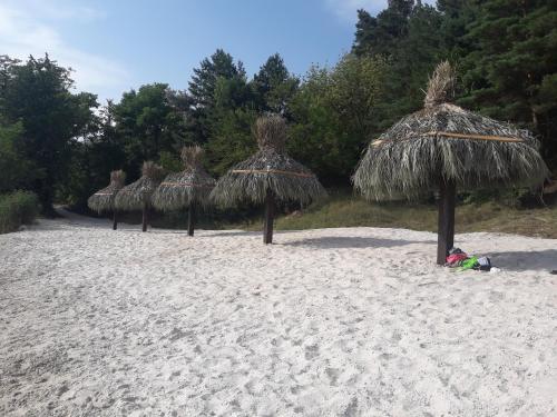 a row of straw umbrellas on a sandy beach at Zelenaya Usad`ba StavBor in Zavadivka