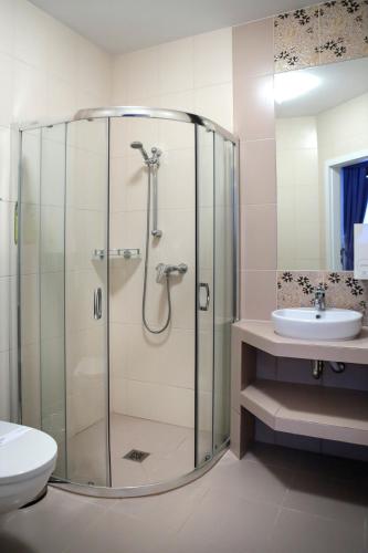 a bathroom with a shower and a toilet and a sink at Hotel Madelaine in Lwówek Śląski