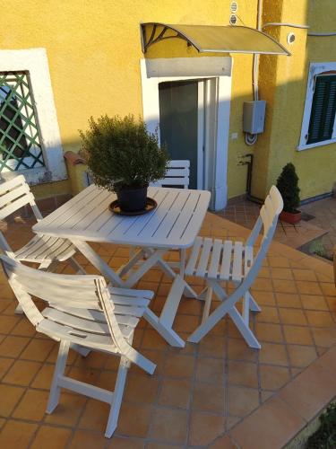 a table and chairs and a potted plant on a patio at A due passi dal castello in San Pio delle Camere