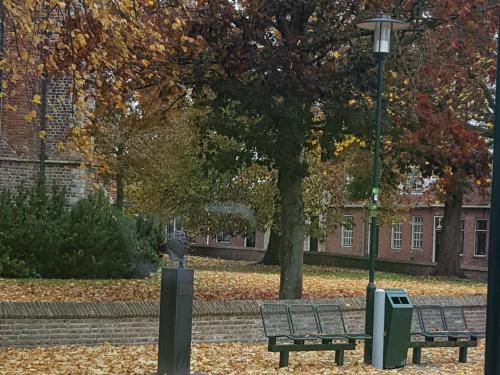 two park benches sitting next to a tree with leaves at HCR de Zwaan in Kapelle