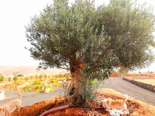 Agriturismo El Bounty