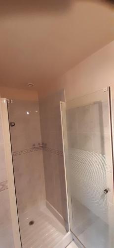 La salle de bains est pourvue d'une douche avec une porte en verre. dans l'établissement Le Four À Pain, à Sahurs
