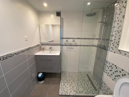 une salle de bain avec douche et lavabo dans l'établissement L’amandine port ambonne naturiste, au Cap d'Agde