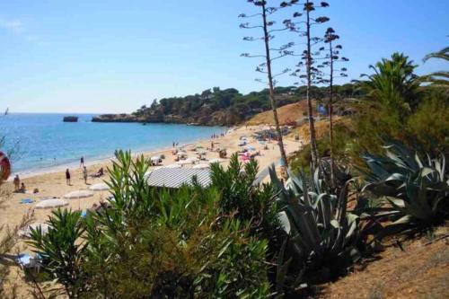 Vacations home Albufeira