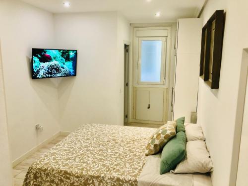 Beautiful and comfortable flat in center of Madrid