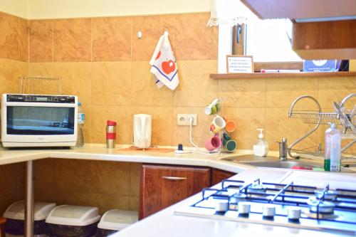 kuchnia ze zlewem i kuchenką górny piekarnik w obiekcie Willa Pasja w Zakopanem