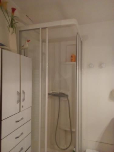 Koupelna v ubytování Chambre dans le centre historique