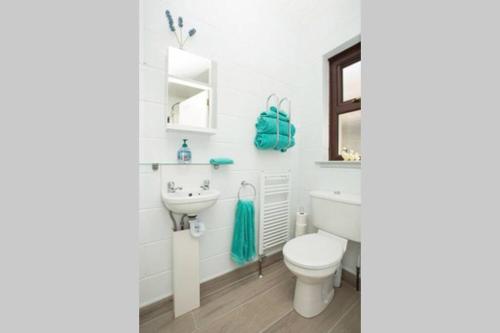 ein weißes Bad mit einem WC und einem Waschbecken in der Unterkunft Cargagh Cottage in Annacloy