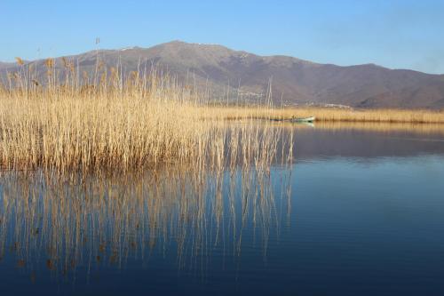 a lake with tall grass and a boat in the water at Kivotos Epavlis in Prespes