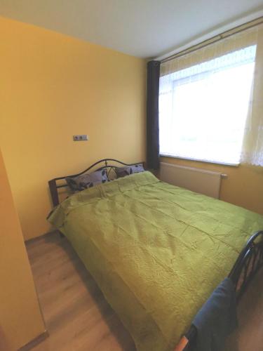 a bedroom with a green bed and a window at Babilonas in Plungė