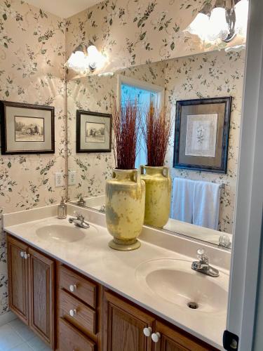 a bathroom with a sink and a large mirror at Suite Melissa's Pinehurst Country Club #6 Private Room and Bath in Pinehurst