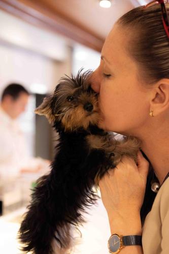 a woman is kissing a small black dog at Plaza São Rafael Hotel in Porto Alegre
