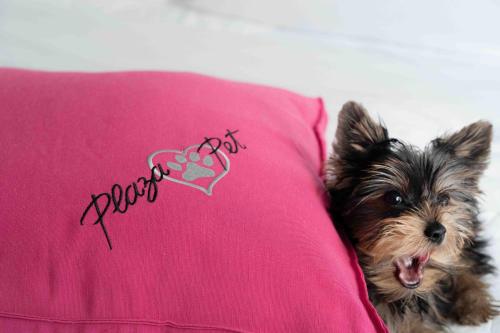 a small dog laying on top of a pink pillow at Plaza São Rafael Hotel in Porto Alegre