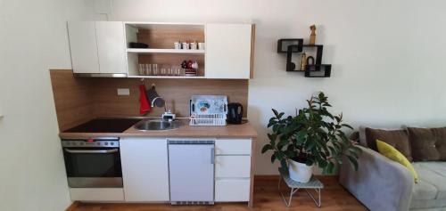 Dapur atau dapur kecil di RiverView Buna - Mostar