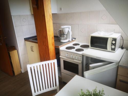 a small kitchen with a stove and a microwave at Ferienwohnungen und Ferienhaus im Nixenweg in Hohwacht