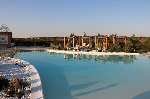坎普馬約爾的住宿－Olívale - Turismo Rural，一个大型蓝色游泳池,背景是一个人