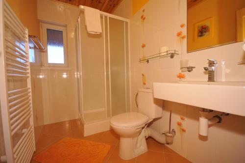 a bathroom with a toilet and a sink and a shower at Penzion Tri klasy in Nová Lesná