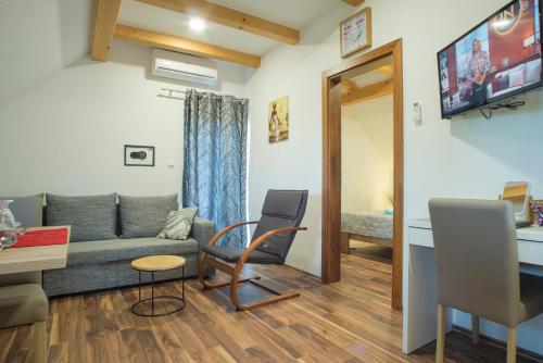 a living room with a couch and a table at Studio Apartment Karlo in Drežnik Grad