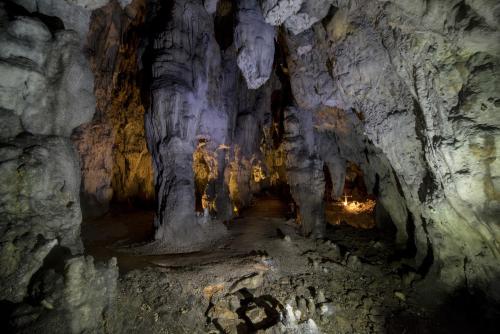 a cave with a path leading into it at Studio Apartment Karlo in Drežnik Grad