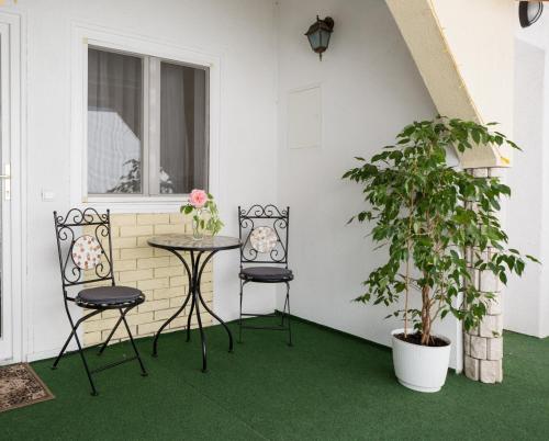a patio with two chairs and a table and a plant at Panzi&oacute; STATUS in Hajd&uacute;szoboszl&oacute;
