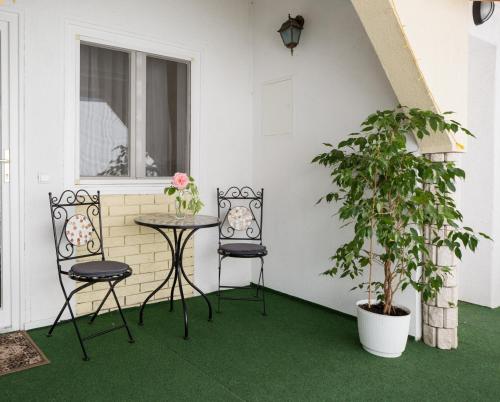 un patio con 2 sedie, un tavolo e una pianta di Panzió STATUS a Hajdúszoboszló
