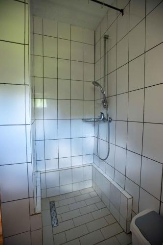 a bathroom with a shower and a toilet at Jugendzentrum Seligstadt in Seliştat