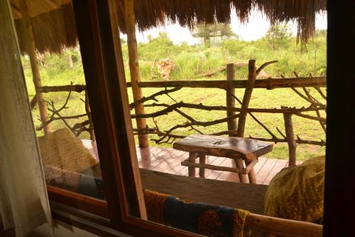 a view from a window of a room with a cow at Topi Lodge in Queen Elizabeth National Park
