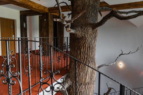 Φωτογραφία από το άλμπουμ του HOTEL CICHA WODA NIEPORĘT σε Nieporet