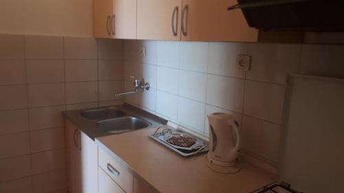 Kuhinja ili čajna kuhinja u objektu Apartmani Slavka