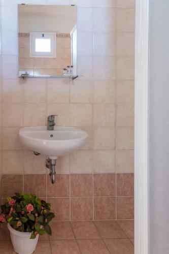 a bathroom with a sink and a potted plant at Hotel Beverly in Rimini