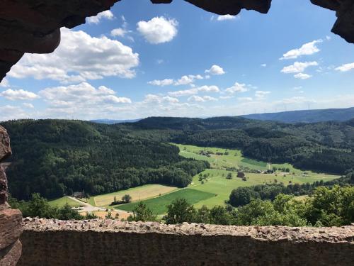 Blick auf ein Feld von einem Schlossfenster in der Unterkunft Hotel Garni Schmieder’s Ochsen in Seelbach