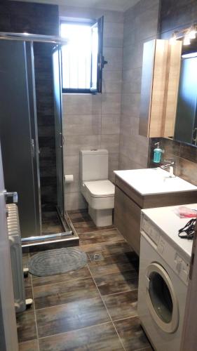 a bathroom with a toilet and a sink and a washing machine at Ήσυχο σπίτι στη Ναύπακτο in Nafpaktos