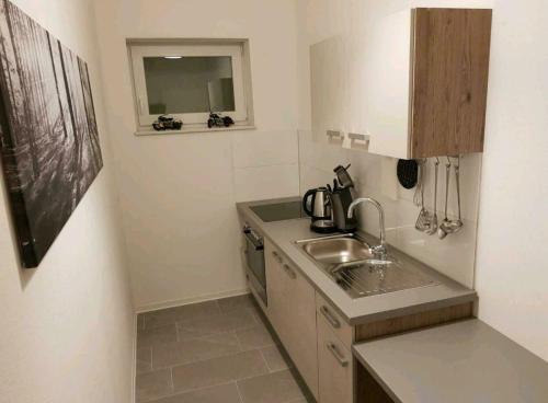 eine kleine Küche mit einer Spüle und einer Mikrowelle in der Unterkunft Altenbeken- Ferienwohnung in Altenbeken