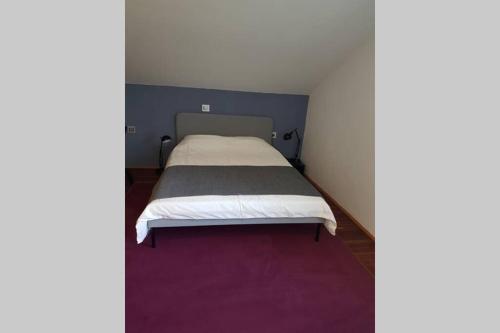 ein Schlafzimmer mit einem Bett mit einem lila Teppich in der Unterkunft Cozy loft in Rijeka