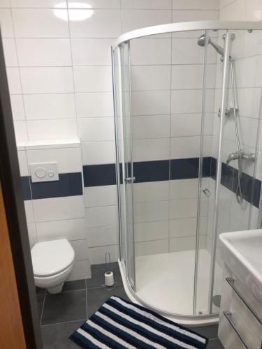 a bathroom with a shower and a toilet and a rug at Kubovka 63 in Kubova Huť