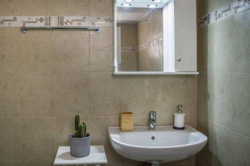 a bathroom with a sink and a mirror and a cactus at Blanca Serenidad Luxury Apartment in Methana