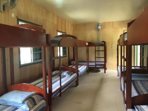 Kota BeludにあるTambatuon Homesteadの複数の二段ベッドが備わる客室です。
