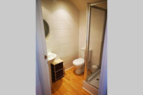 La salle de bains est pourvue d'une douche et de toilettes. dans l'établissement Tom and Angela’s Place, à Liverpool
