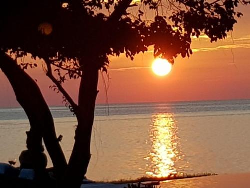 Landskap semula jadi dekat dengan resort