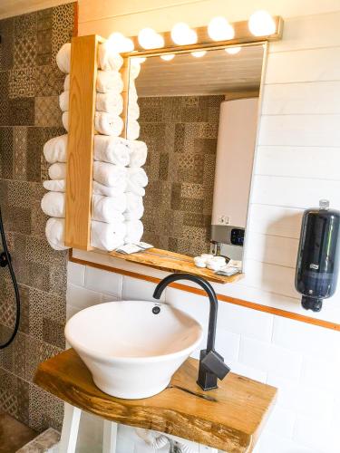 a bathroom with a sink and a mirror at Tiny House - Baia de Fier in Baia de Fier