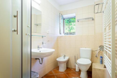 a bathroom with a toilet and a sink at Svycarska Bouda in Špindlerův Mlýn