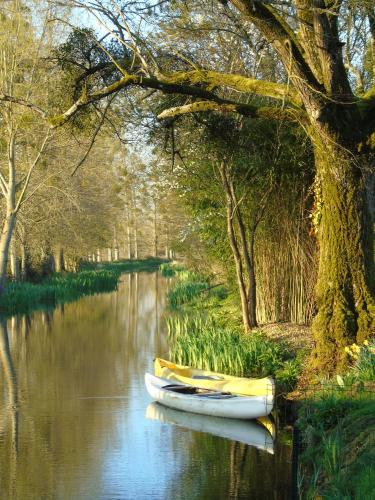 two boats sitting in a river with trees at Le Petit Moulin Tournesol BnB in Sainte-Soline